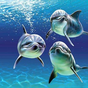 скачать бесплатно Дельфины