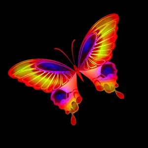 скачать бесплатно Урок — Раскрасим кисть бабочку