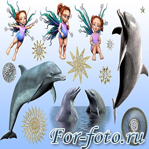 скачать бесплатно Клипарт — Дельфины