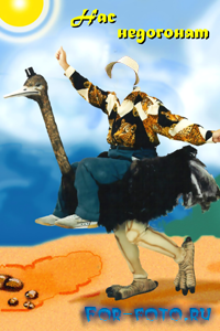 скачать бесплатно Верхом на страусе