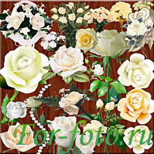 скачать бесплатно Цветы — Белые розы