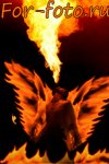 Кисти — Огненные крылья