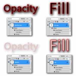Opacity и Fill — чем они отличаются?
