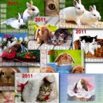 11 календарей на 2011год
